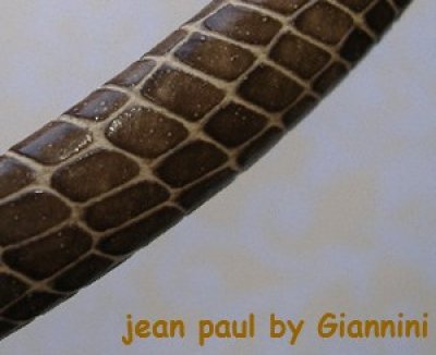 画像1: jean paul by Giannini カチューシャ / 茶